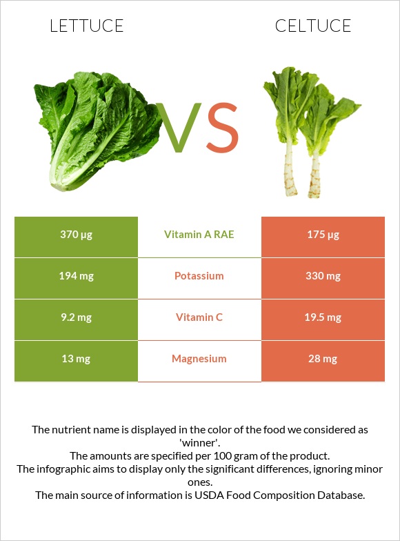 Lettuce vs Celtuce infographic