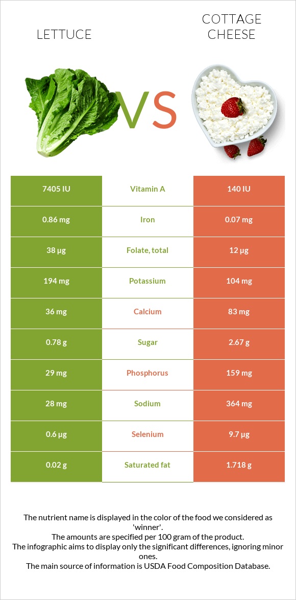 Lettuce vs Cottage cheese infographic