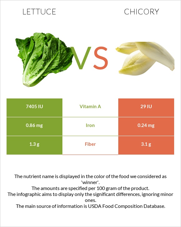 Lettuce vs Chicory infographic
