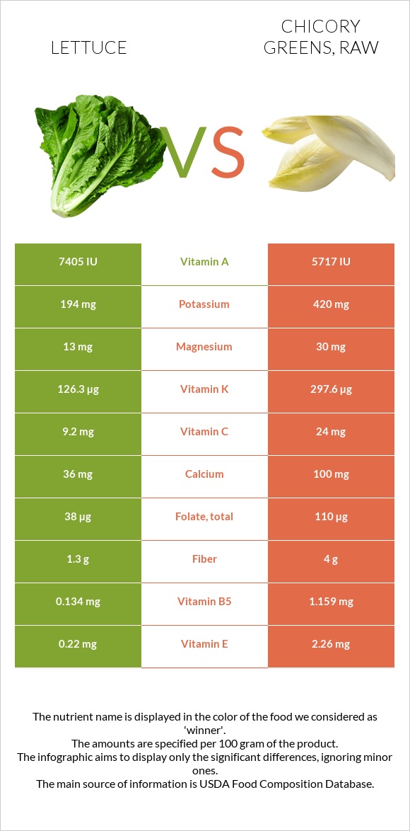 Lettuce vs Chicory greens, raw infographic