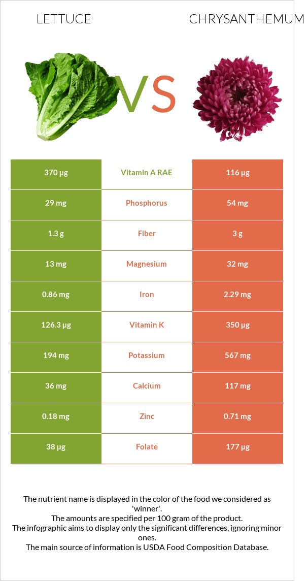 Lettuce vs Chrysanthemum infographic