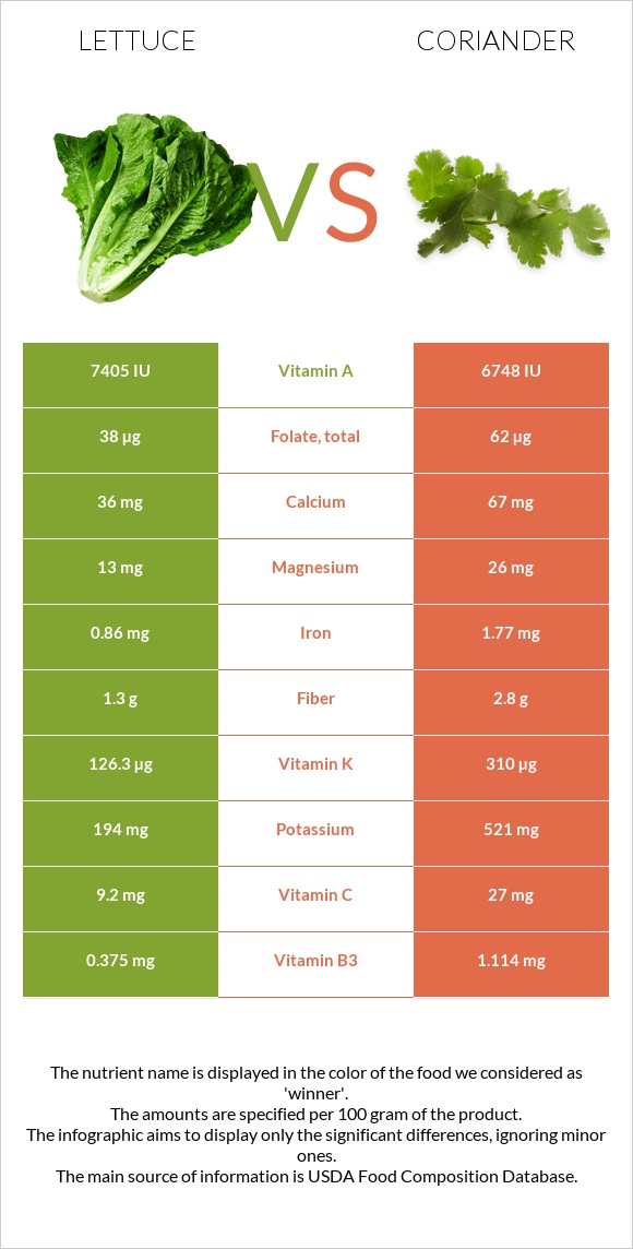 Lettuce vs Coriander infographic