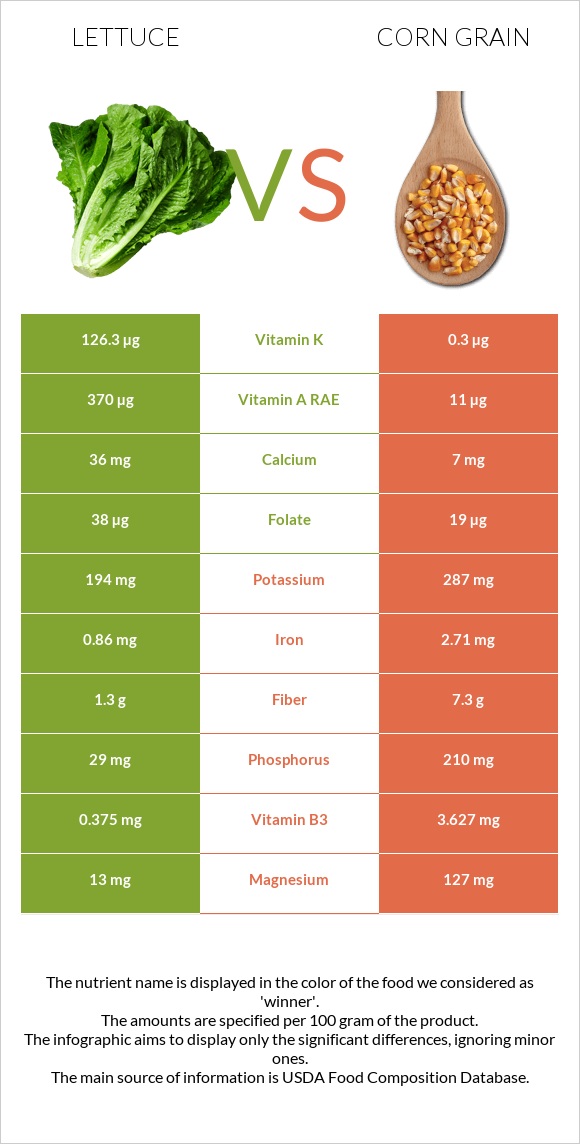 Lettuce vs Corn grain infographic