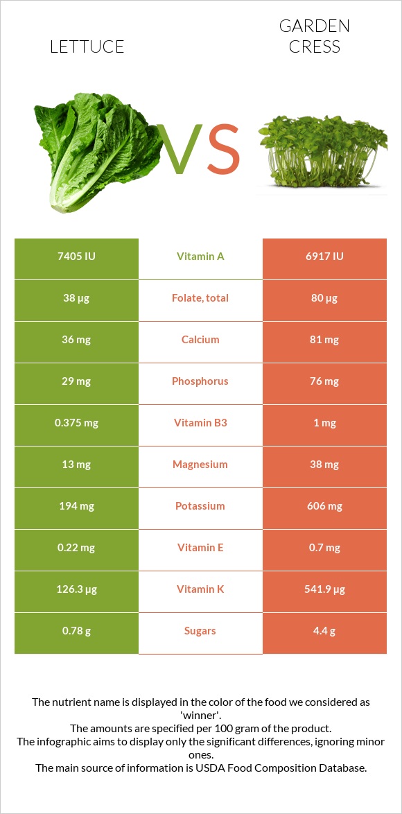 Lettuce vs Garden cress infographic