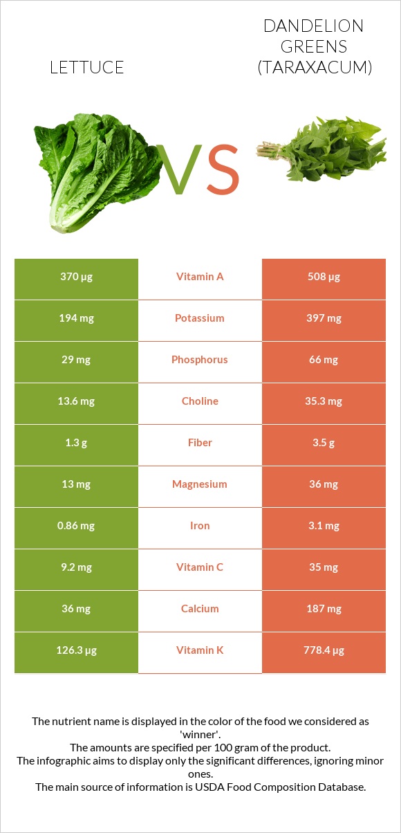 Lettuce vs Dandelion greens infographic