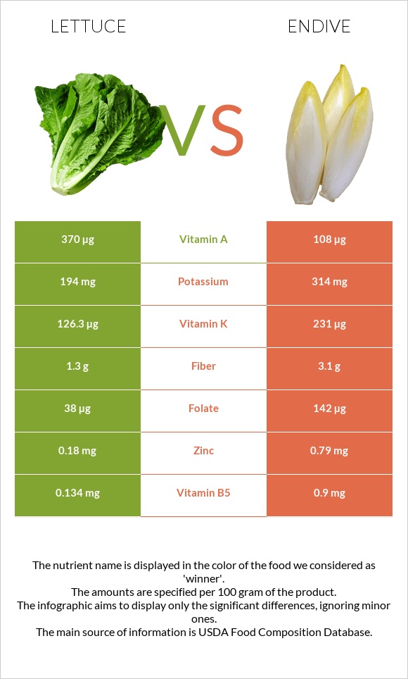 Lettuce vs Endive infographic