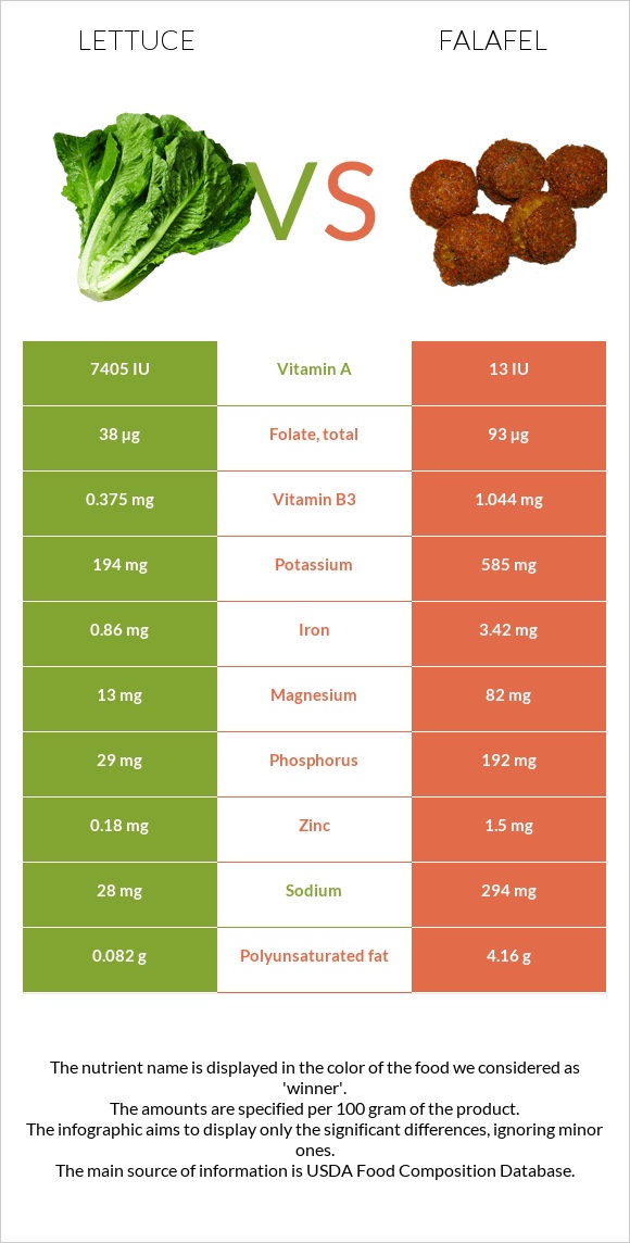 Lettuce vs Falafel infographic