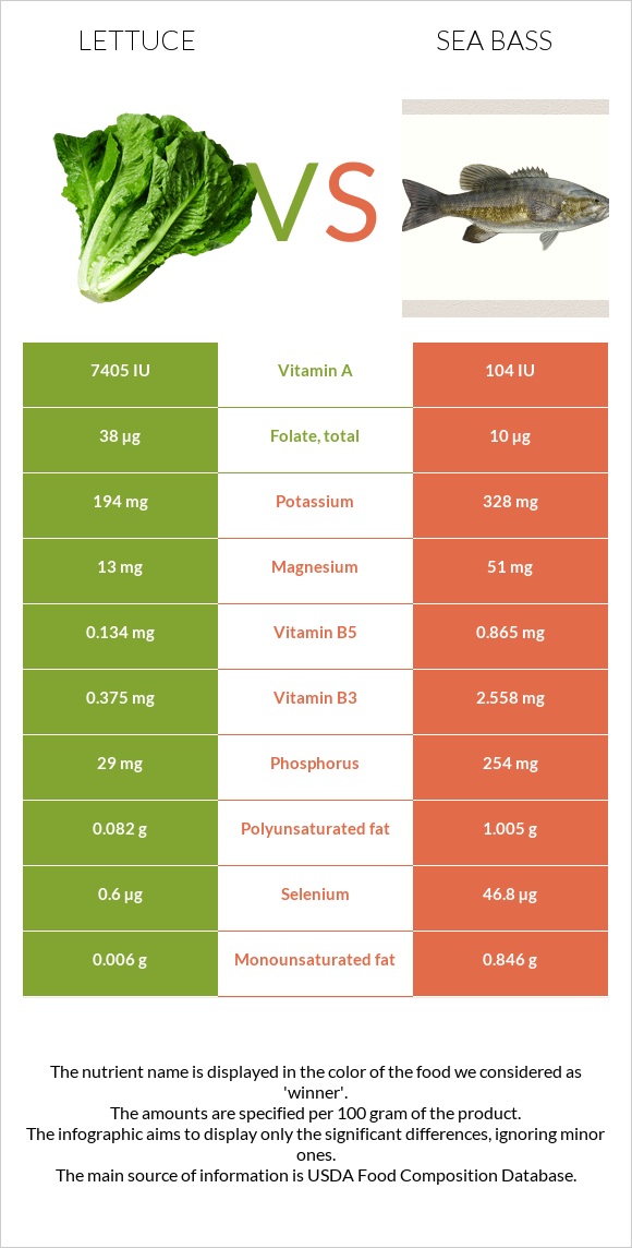Lettuce vs Sea bass infographic