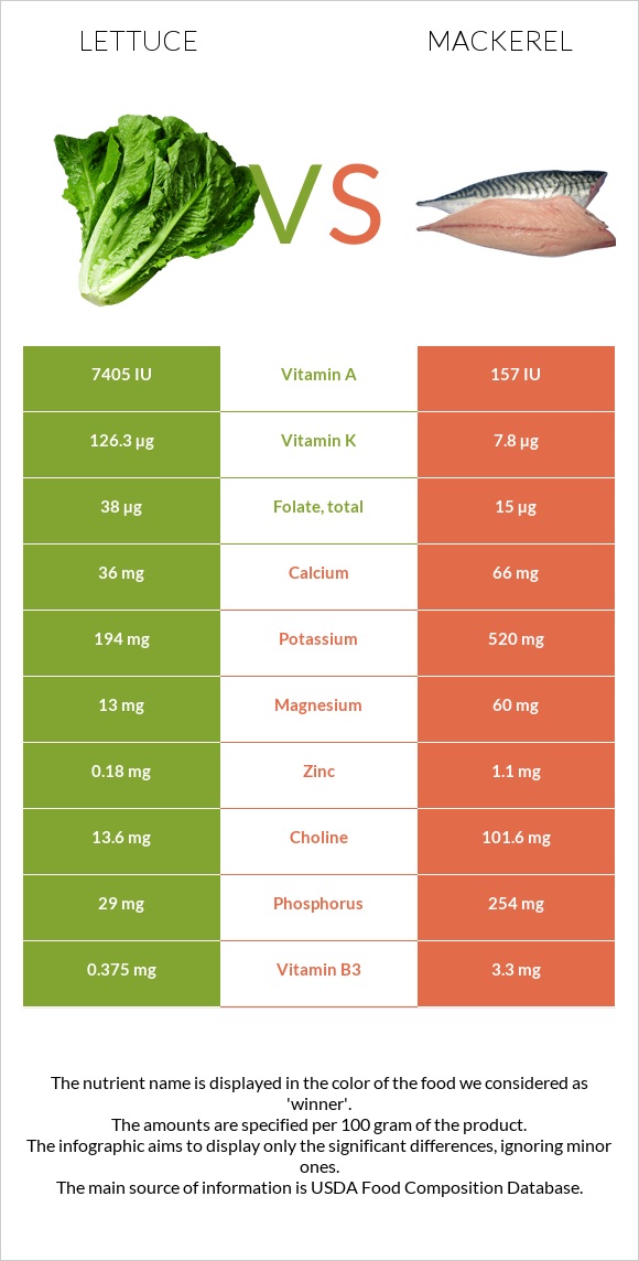 Հազար vs Սկումբրիա infographic