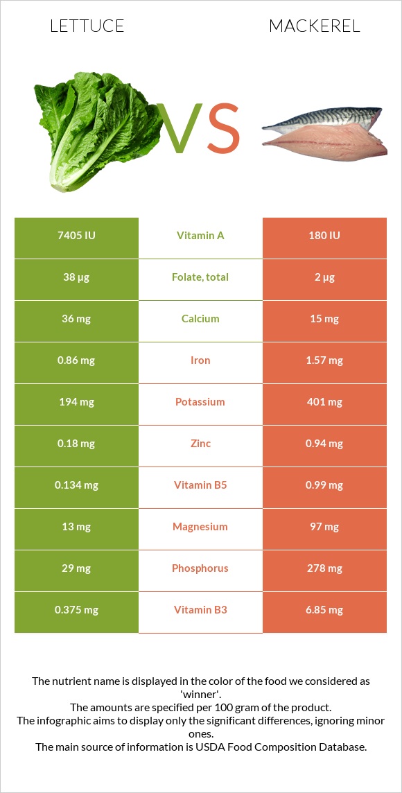 Lettuce vs Mackerel infographic