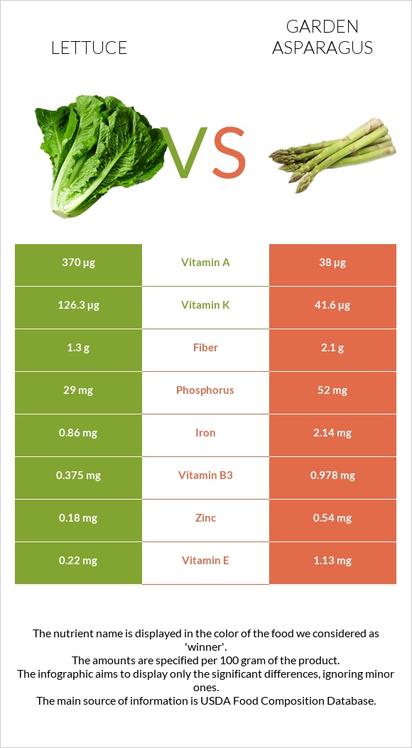 Lettuce vs Garden asparagus infographic