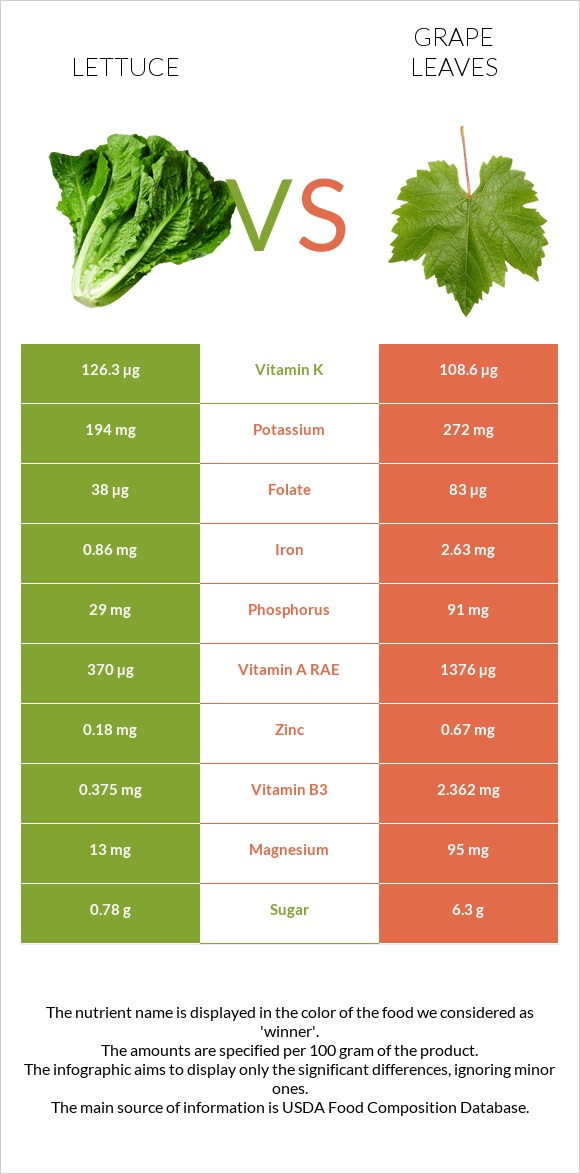 Lettuce vs Grape leaves infographic