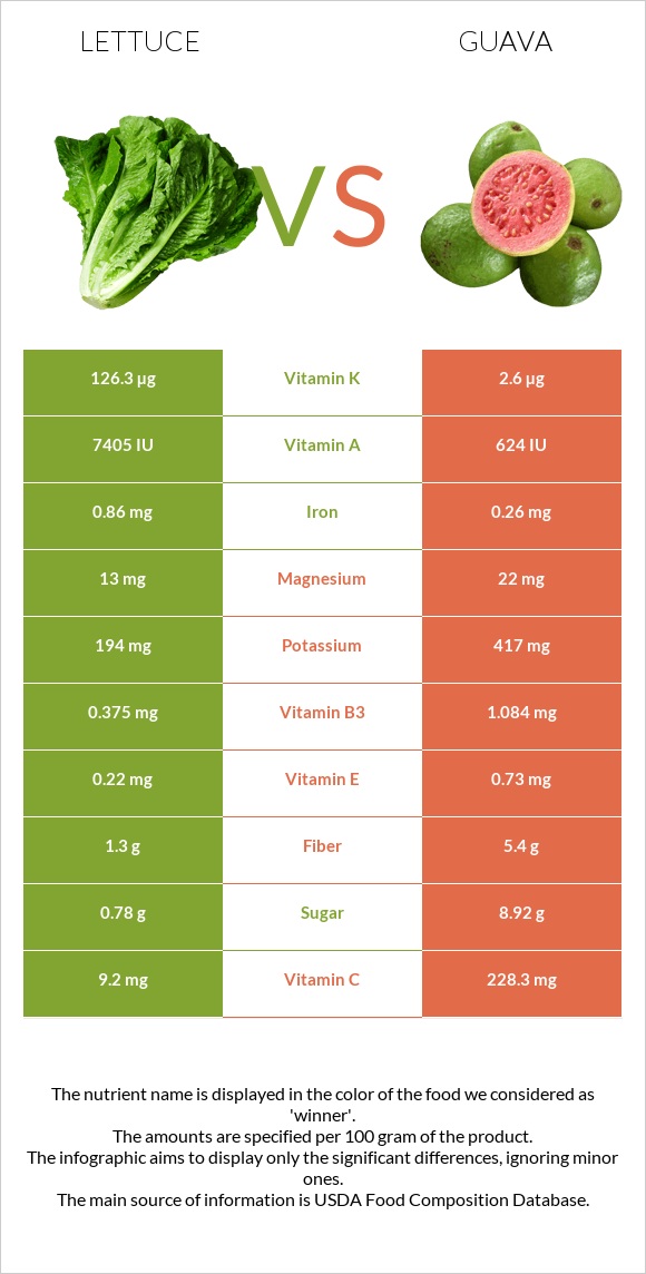 Lettuce vs Guava infographic