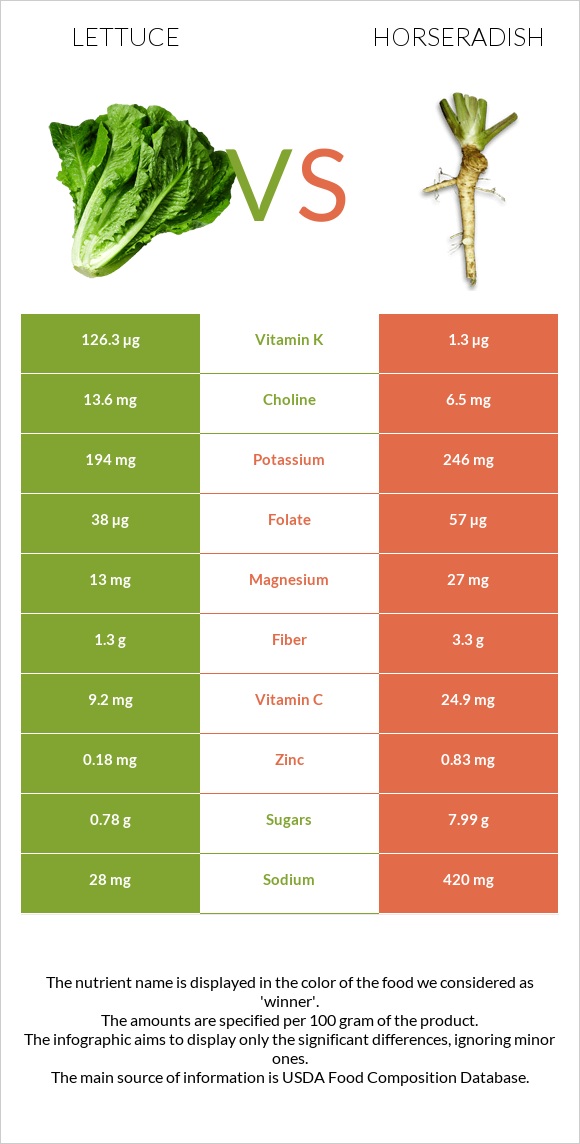 Lettuce vs Horseradish infographic