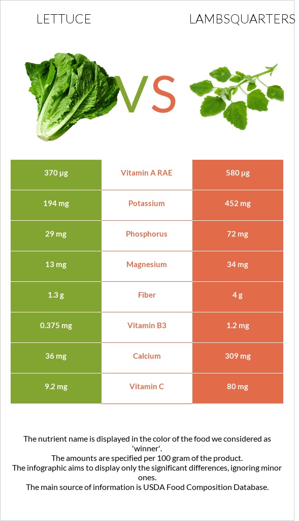 Lettuce vs Lambsquarters infographic