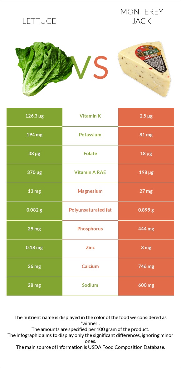 Lettuce vs Monterey Jack infographic