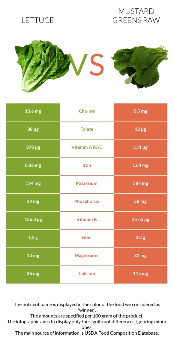 Lettuce vs Mustard Greens Raw infographic