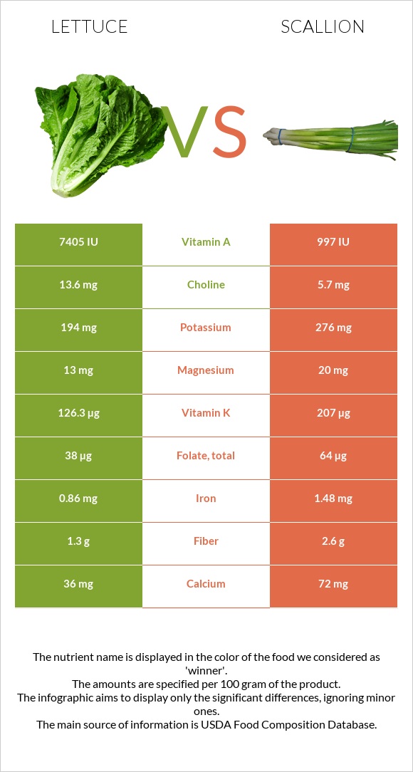 Lettuce vs Scallion infographic