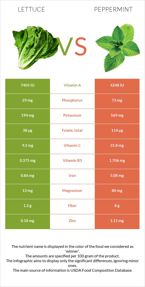 Lettuce vs Peppermint infographic
