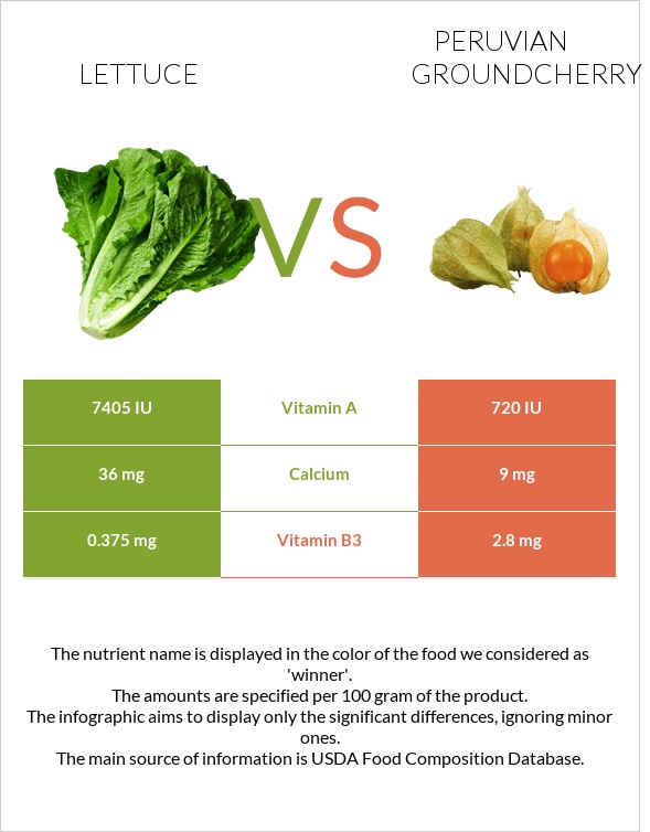 Lettuce vs Peruvian groundcherry infographic