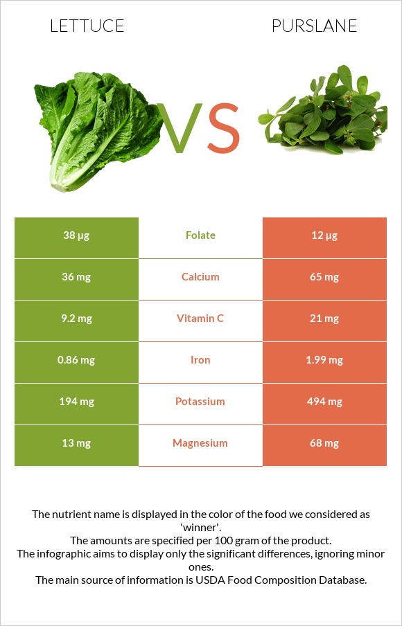 Հազար vs Purslane infographic