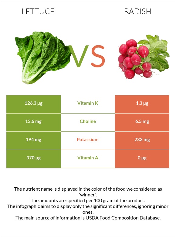 Lettuce vs Radish infographic