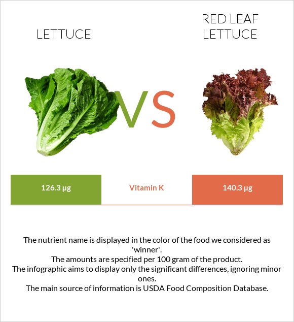 Lettuce vs Red leaf lettuce infographic