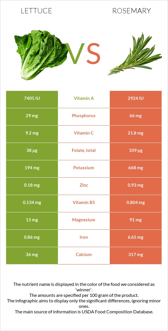 Lettuce vs Rosemary infographic