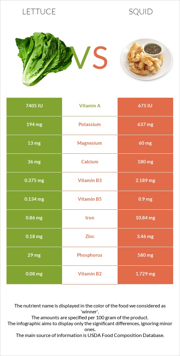 Lettuce vs Squid infographic