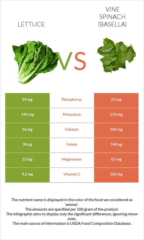 Lettuce vs Vine spinach (basella) infographic