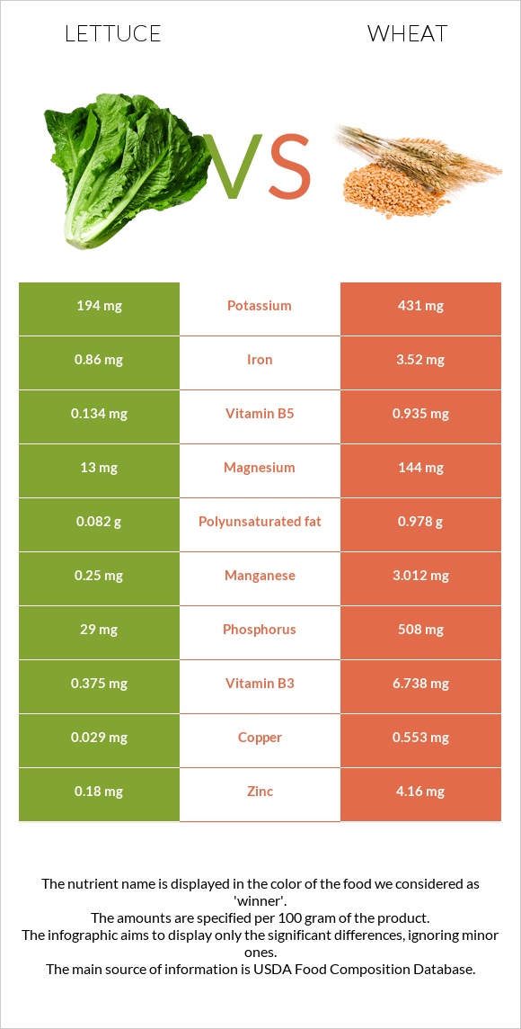 Lettuce vs Wheat infographic
