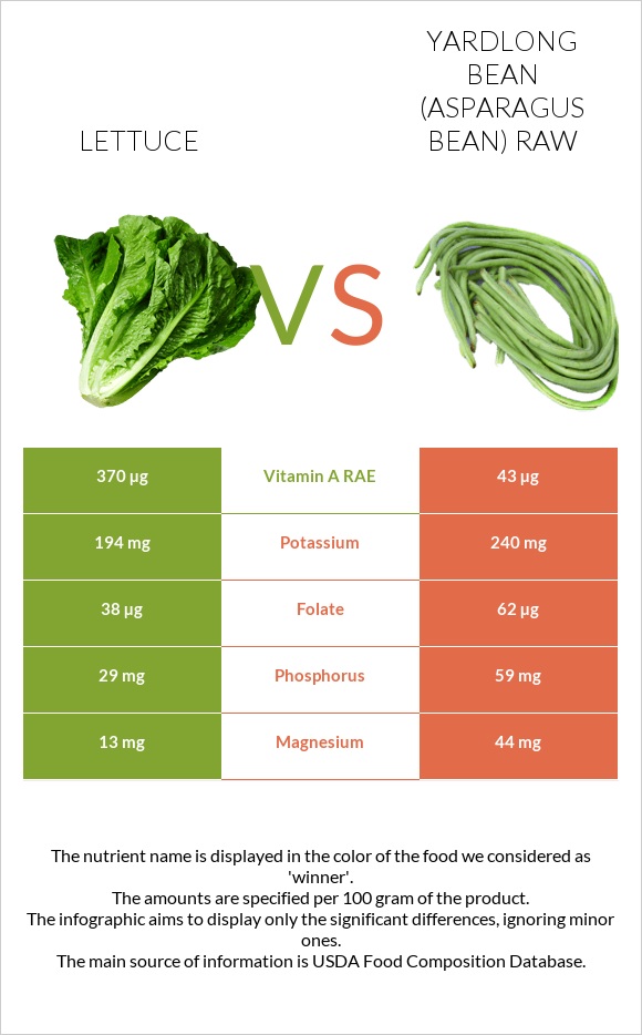 Lettuce vs Yardlong bean (Asparagus bean) raw infographic