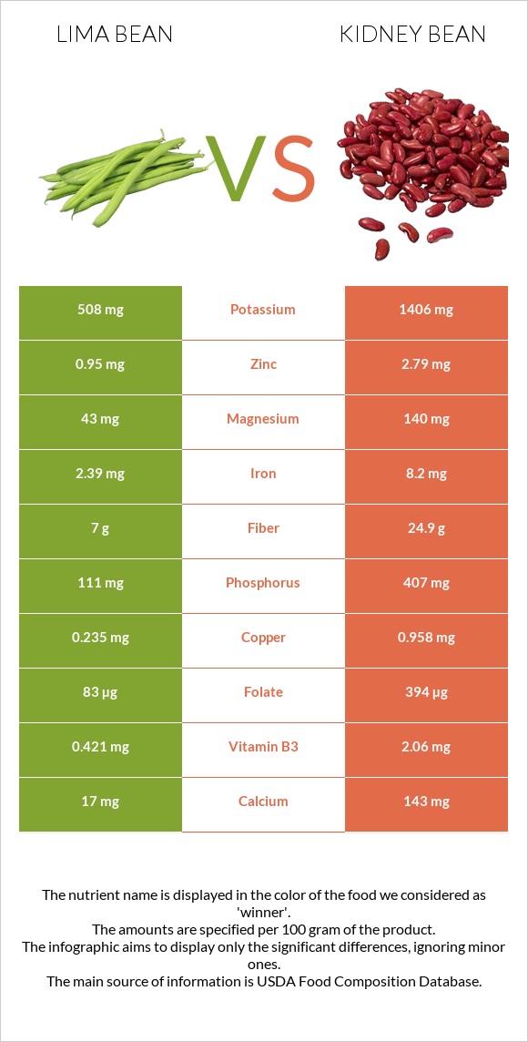 Lima bean vs Kidney bean infographic