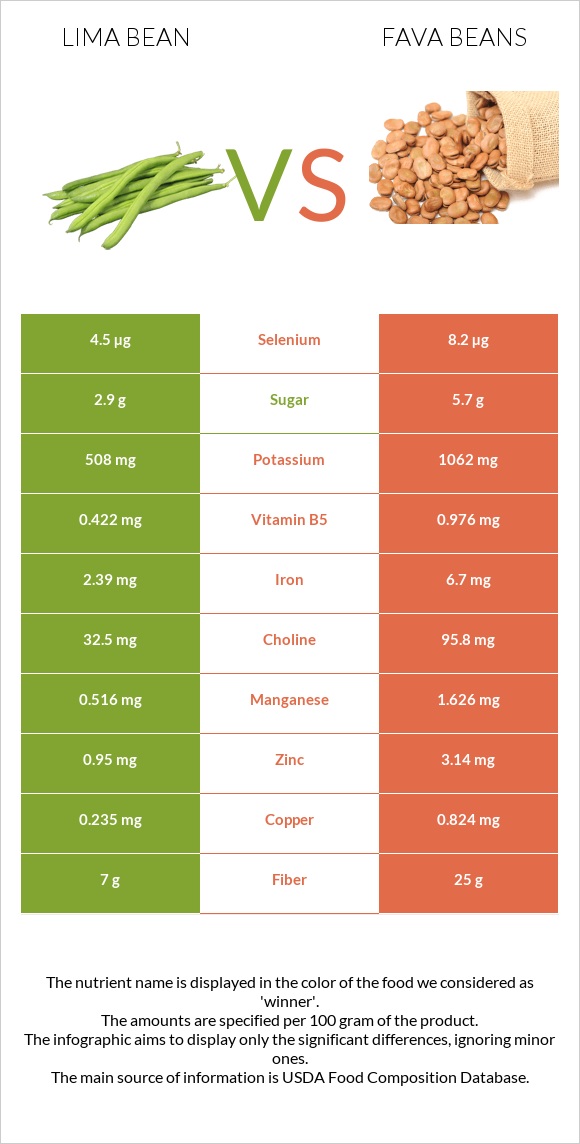 Lima bean vs Fava beans infographic