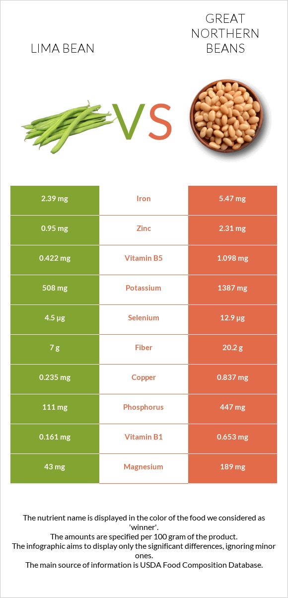 Lima bean vs Great northern beans infographic
