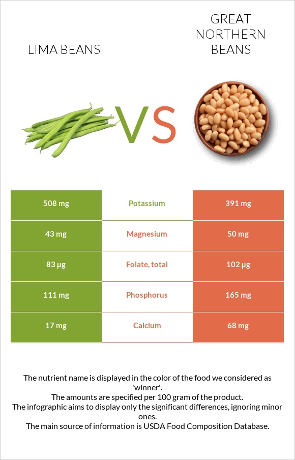 Lima bean vs Great northern beans infographic