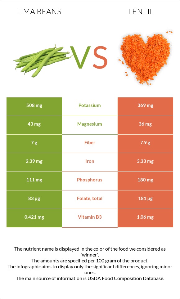 Lima bean vs Lentil infographic