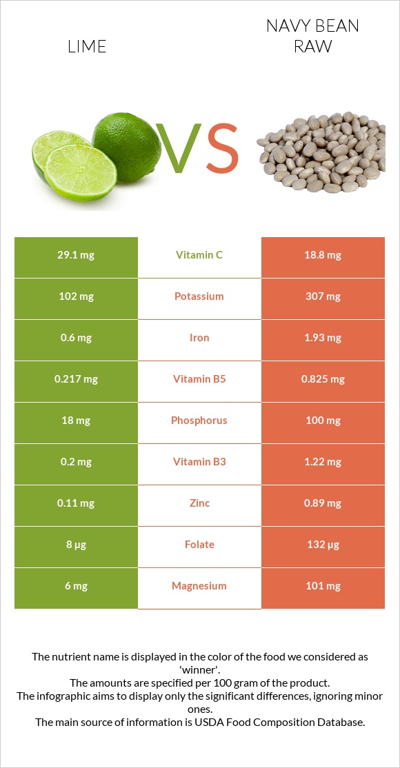 Lime vs Navy bean raw infographic