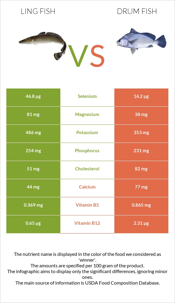 Ling fish vs Drum fish infographic