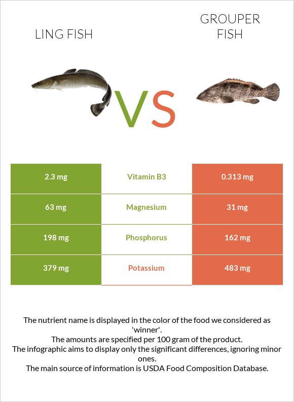 Ling fish vs Grouper fish infographic