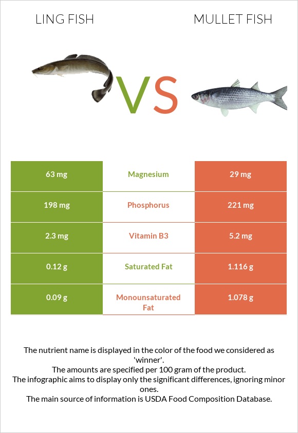 Ling fish vs Mullet fish infographic