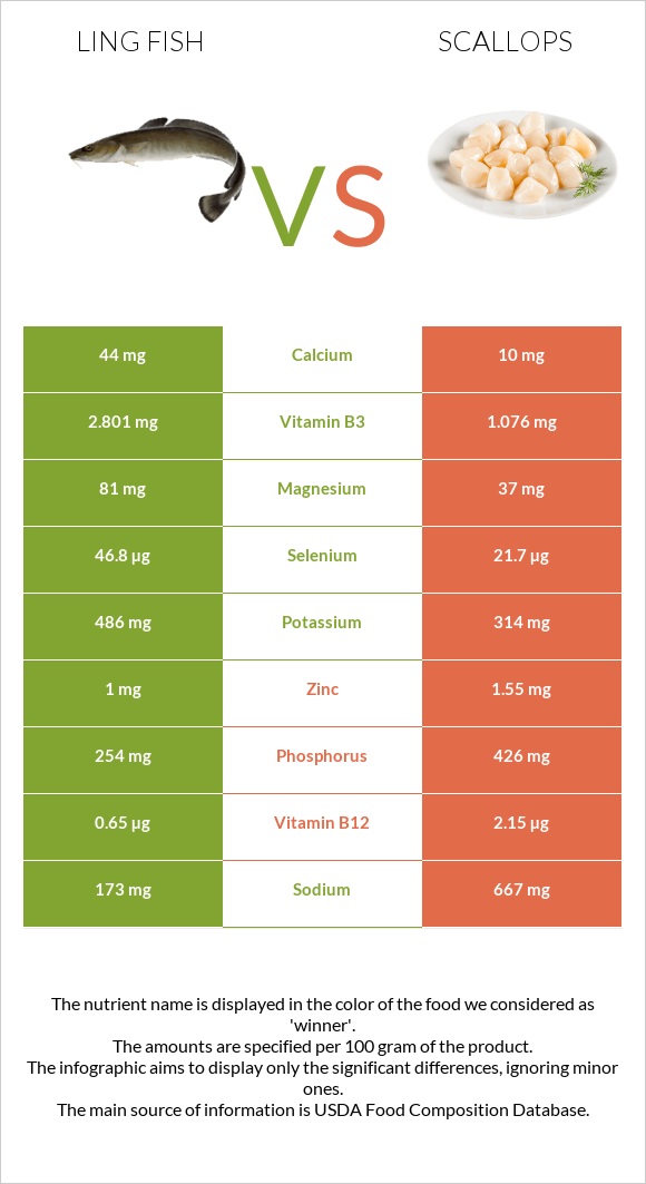 Ling fish vs Scallops infographic