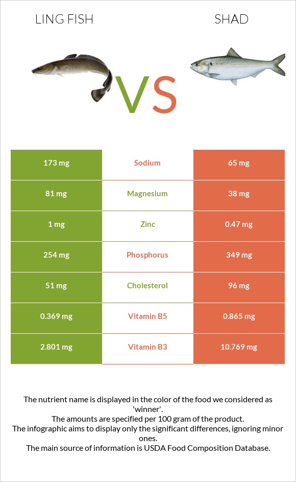 Ling fish vs Shad infographic