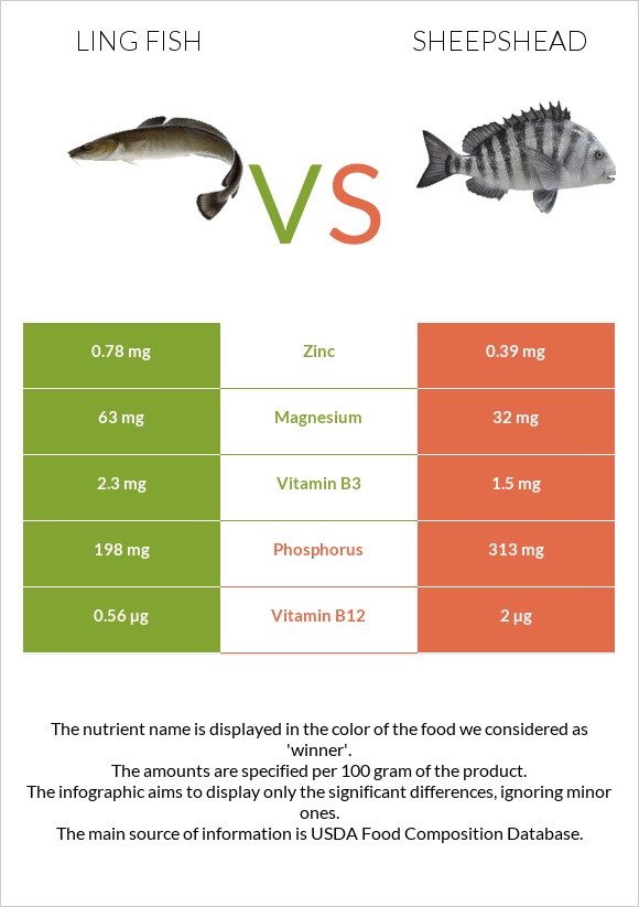Ling fish vs Sheepshead infographic