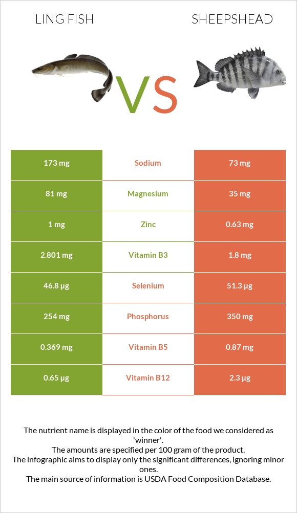 Ling fish vs Sheepshead infographic