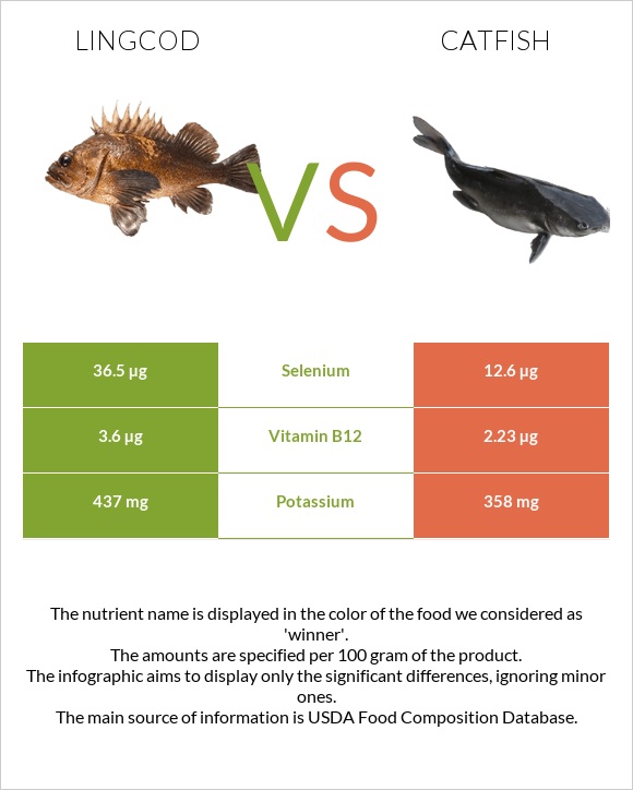 Lingcod vs Catfish infographic
