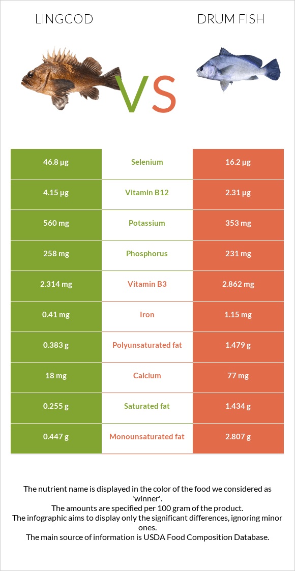 Lingcod vs Drum fish infographic