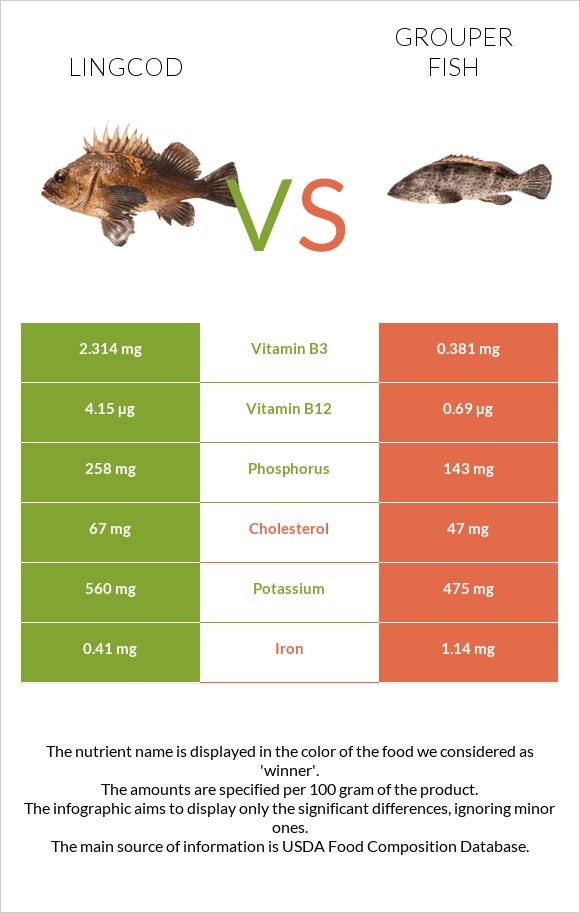 Lingcod vs Grouper fish infographic