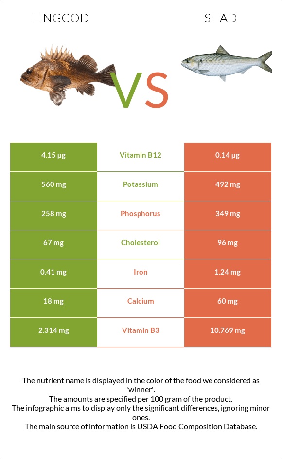 Lingcod vs Shad infographic