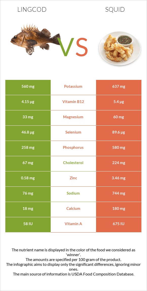 Lingcod vs Squid infographic